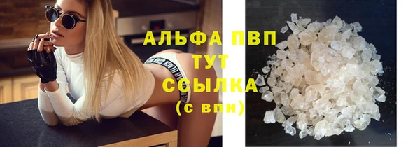 mdpv Богданович