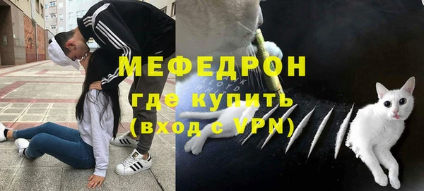 mdpv Богданович