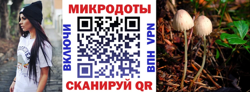 Купить  Семилуки  Псилоцибиновые грибы GOLDEN TEACHER 
